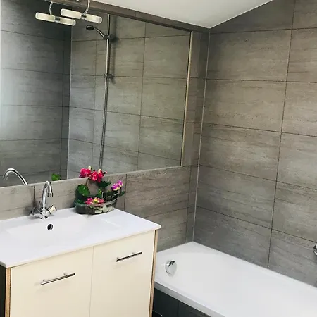 F2 Type Loft Avec Terrasse Alès