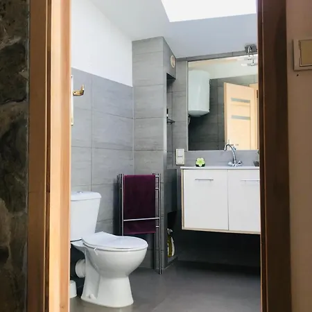 Lägenhet F2 Type Loft Avec Terrasse Alès