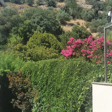 F2 Type Loft Avec Terrasse Alès