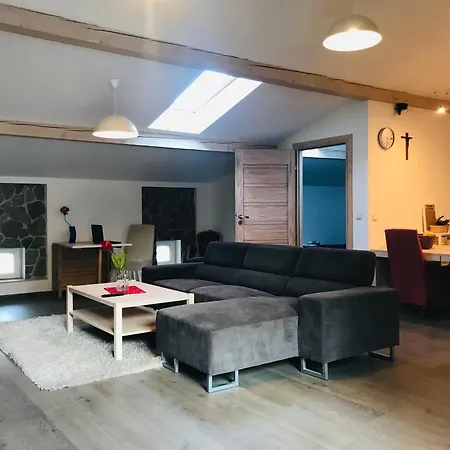 F2 Type Loft Avec Terrasse *